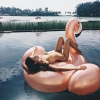 Rose Gold Flamingo/Swan Inflatable Pool Float - 60 Inches - Perfect for Adults and Pool Games