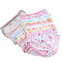 12pcs/Lot Girls Cotton Panties Briefs Gifts Children Underwear Cartoon Briefs  Underpants 1-2Y GTNN0001