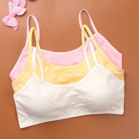 Wire-Free Soft Bras for Girls (Ages 10-15) – Training Bras for Teenagers, Small Vest Shaped with Puberty Underwear for Young Children's Clothing.