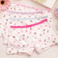 4Pcs/lot Cartoon Kids Girl Underwear For Baby Children's Boxer Underpants Briefs Girls Underware Pants For 2-9 Y