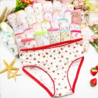 6pc/Lot  Fashion New Baby Girls Underwear Cotton Panties Kids Short Briefs Children Underpants