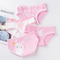 4pc/lot Cotton Panties for Kid Girls Cartoon Soft Underwear Panties Children Teenage Briefs Comfortable Underpants