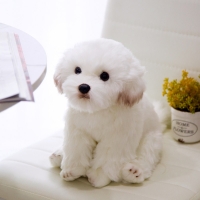 26cm Simulated Maltese Dog Simulation Pet Stuffed Dog Plush Toy Simulation Pet Fluffy Baby Doll Plush toy Birthday Children Gift