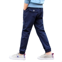 Boys Pants  Kids 2022 Autumn Cotton Long 3 5 10 14 Year Children Trousers New Style High Quality Pantalones Causal Cargo Pants