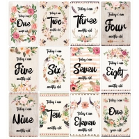 12 Pcs Month Sticker Baby Photography Milestone Memorial Monthly Newborn Kids Commemorative Card Number Photo Props