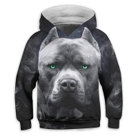 3D Print Dog Animal Pattern Boys Girl Hoodie Long Sleeve Children Tops Kid Fall Spring Active Fashion Indoor Outdoor Fit Neutral