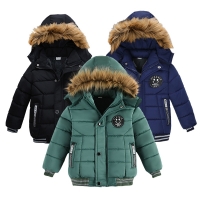 Boys Hooded Jacket with Fur Collar for Autumn/Winter, Warm and Stylish, Sizes 2-6 Years